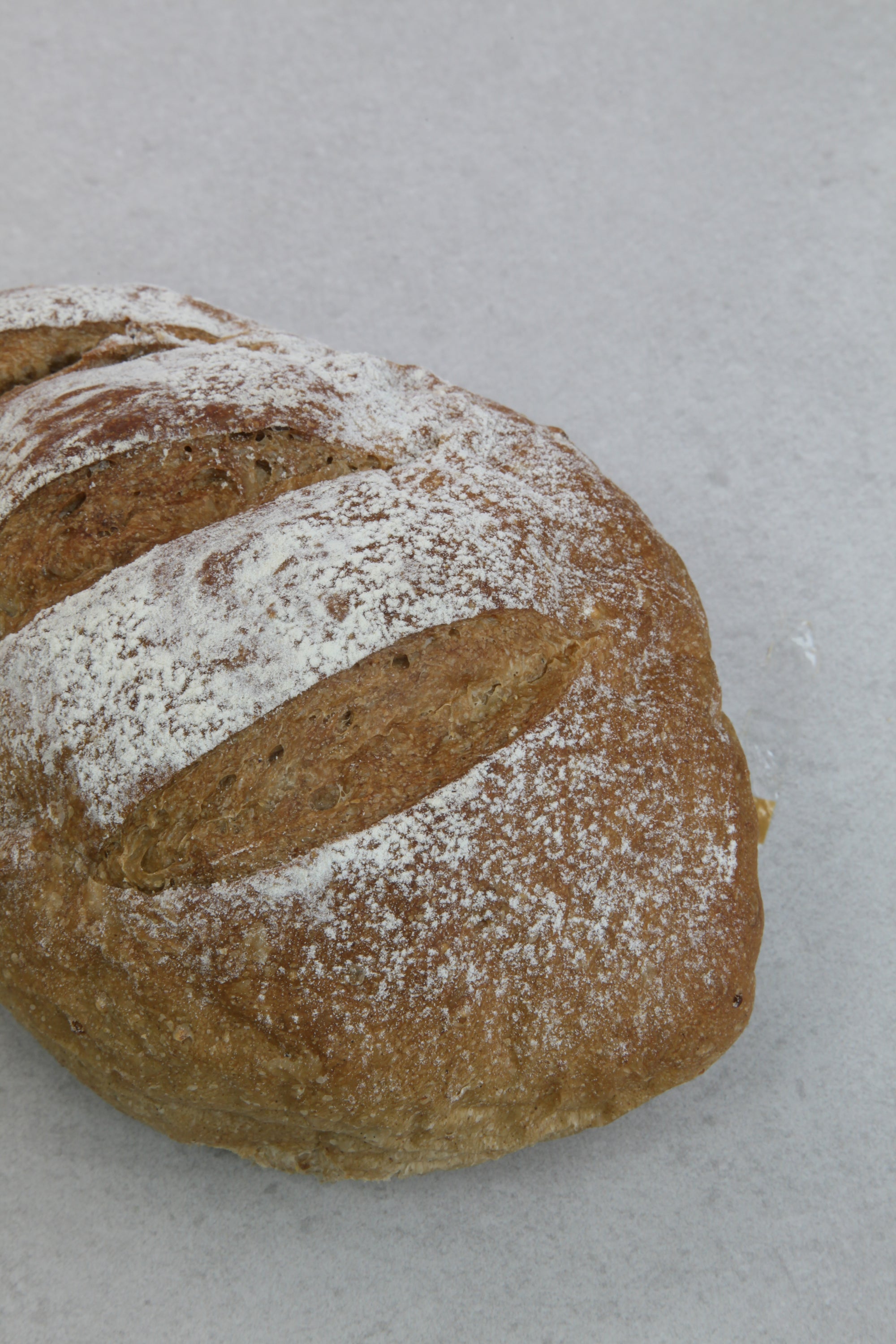 Healthy Multigrain Sour Dough